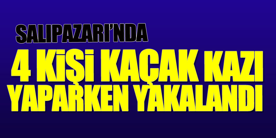 Samsun'da 4 kişi kaçak kazı yaparken yakalandı