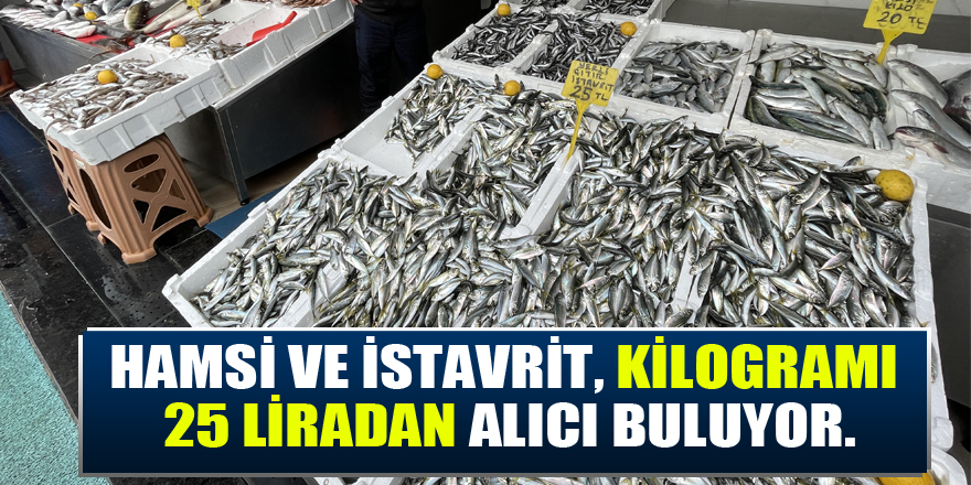 Samsun'da hamsi ve istavritin kilogramı 25 liradan satılıyor