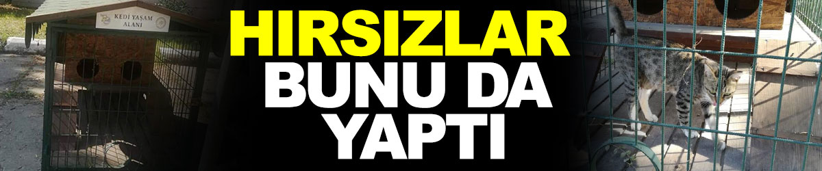 Hırsızlar bunu da yaptı