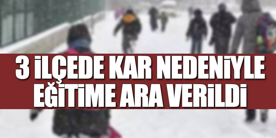 3 ilçede kar nedeniyle eğitime ara verildi