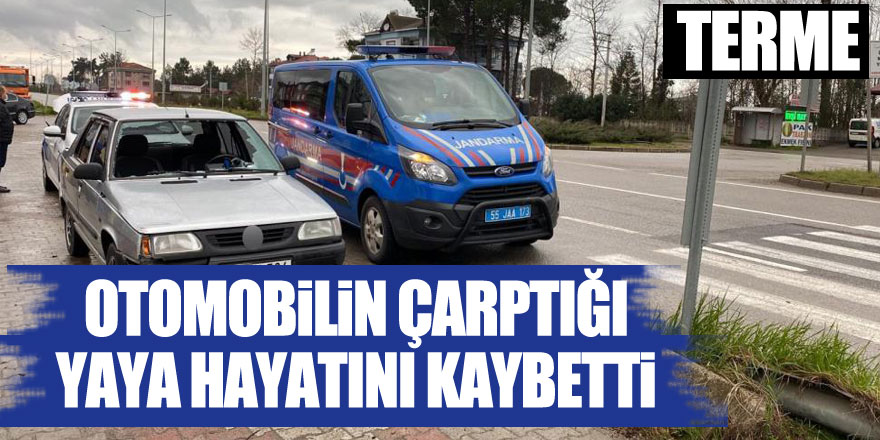 Otomobilin çarptığı yaya hayatını kaybetti