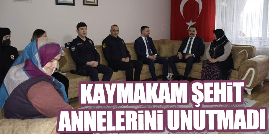 Kaymakam Şehit Annelerini unutmadı