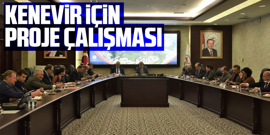 Kenevir için proje çalışması