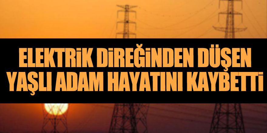 Elektrik direğinden düşen yaşlı adam hayatını kaybetti