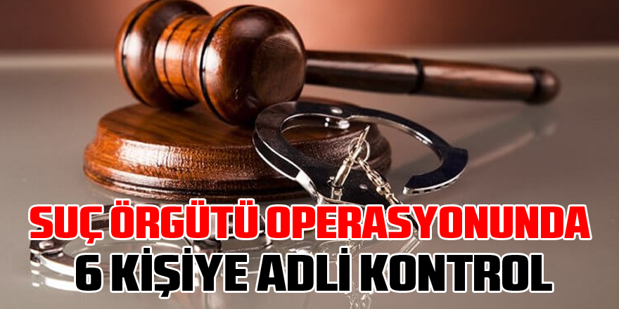  Samsun'da suç örgütü operasyonunda 6 kişiye adli kontrol