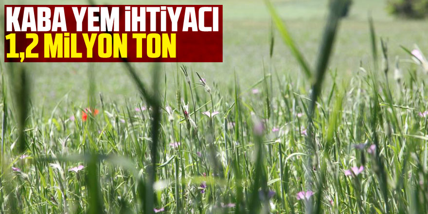 kaba yem ihtiyacı 1,2 milyon ton