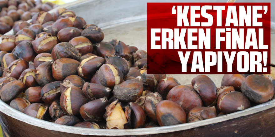 ‘KESTANE’ ERKEN FİNAL YAPIYOR!