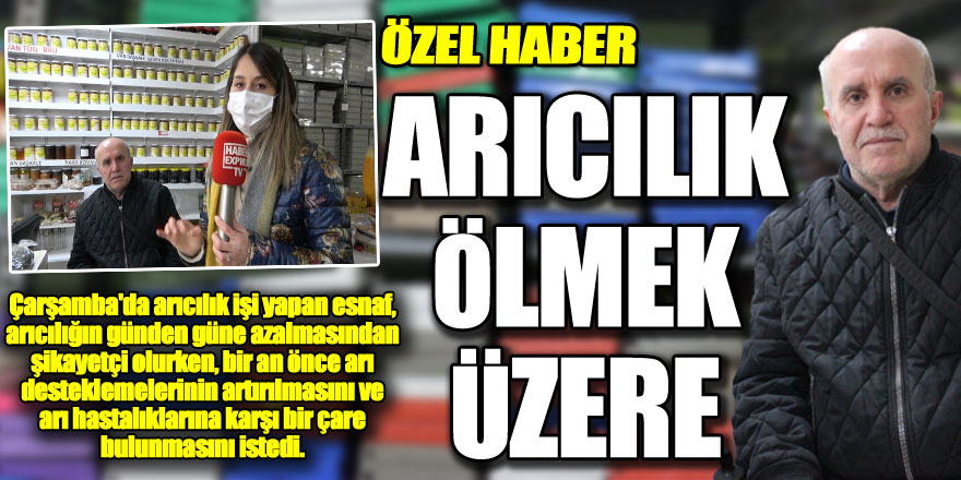 ARICILIK ÖLMEK ÜZERE