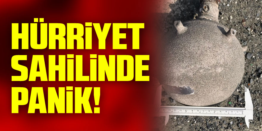 Hürriyet Sahili'nde panik!