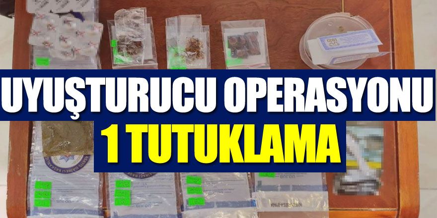 Uyuşturucu operasyonu: 1 tutuklama