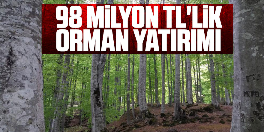 Samsun'a 82 proje ile 98 milyon TL'lik orman yatırımı