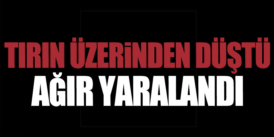 Tırın üzerinden düşen şahıs ağır yaralandı