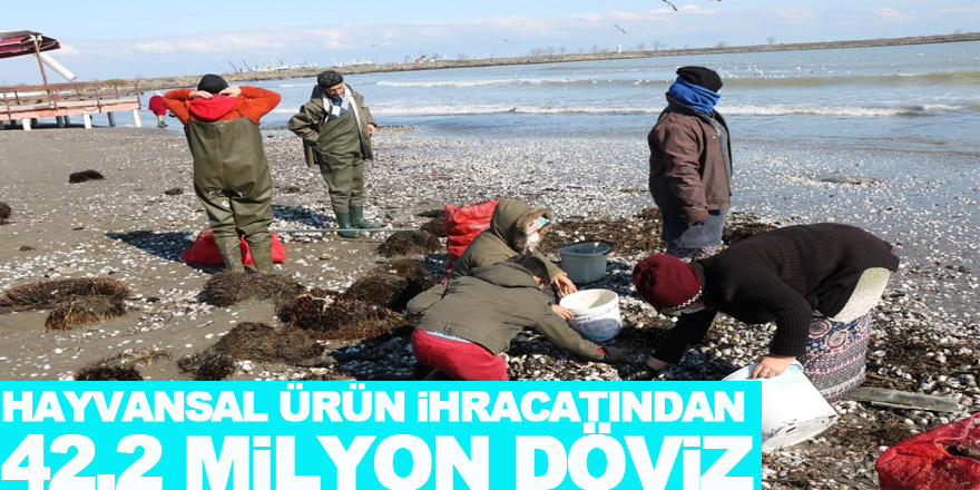 Hayvansal ürün ihracatından 42,2 milyon döviz