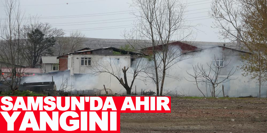 Samsun'da ahır yangını