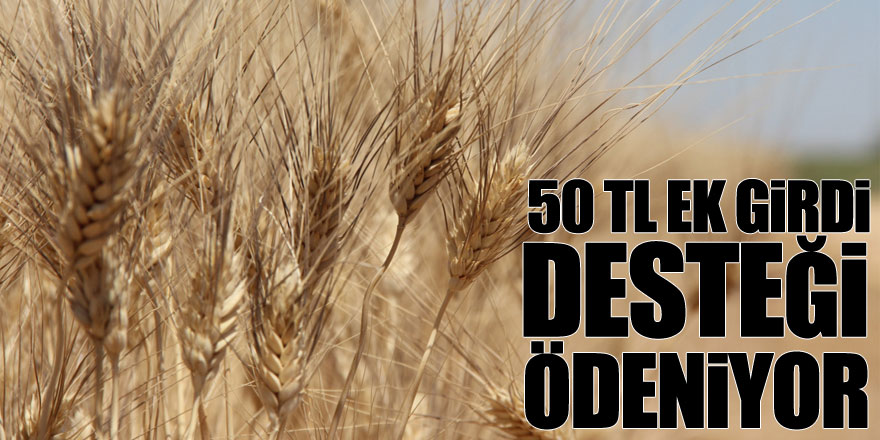 50TL EK GİRDİ DESTEĞİ ÖDENİYOR