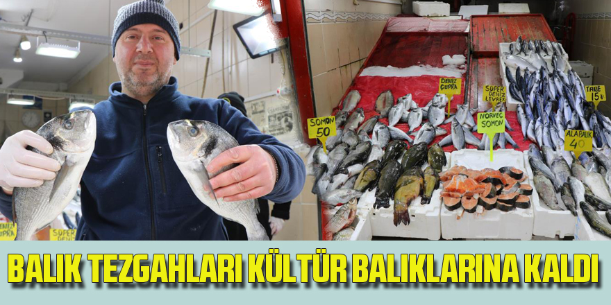 Balık tezgahları kültür balıklarına kaldı