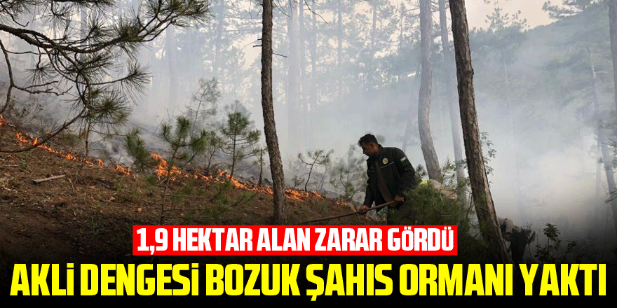 Akli dengesi bozuk şahıs ormanı yaktı, 1,9 hektar alan zarar gördü