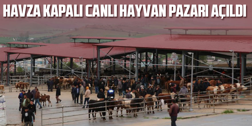 Havza Kapalı Canlı Hayvan Pazarı açıldı