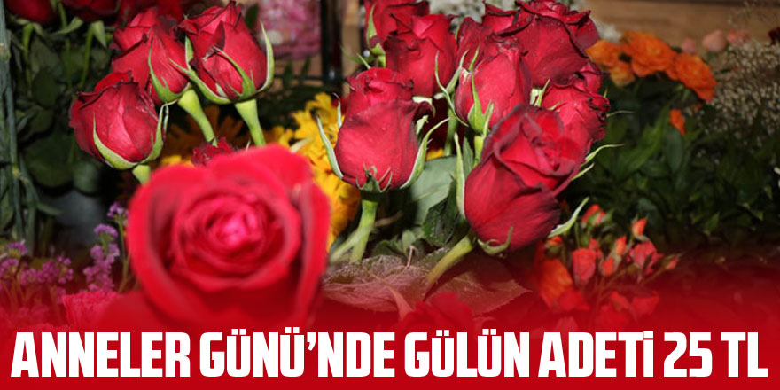 Anneler Günü’nde gülün adeti 25 TL