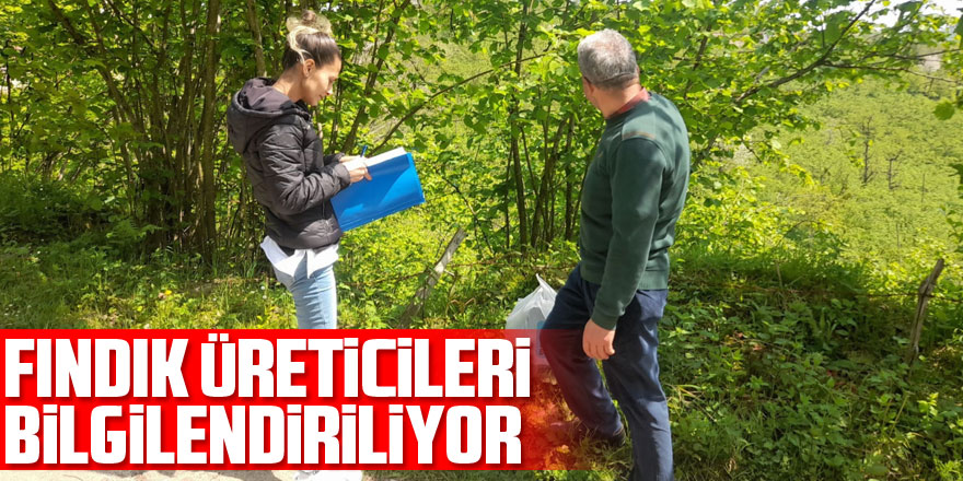 Fındık üreticileri bilgilendiriliyor