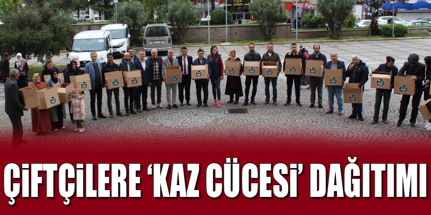 Çiftçilere ‘Kaz Cücesi’ dağıtımı