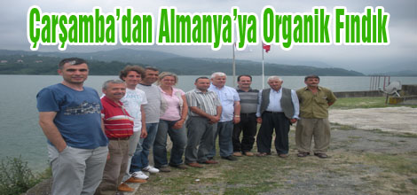 Çarşamba’dan Almanya’ya Organik Fındık