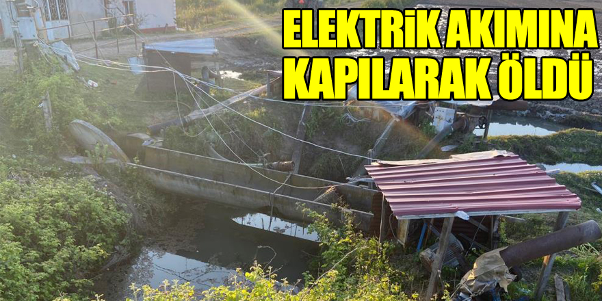 Tarlada elektrik akımına kapılan şahıs hayatını kaybetti