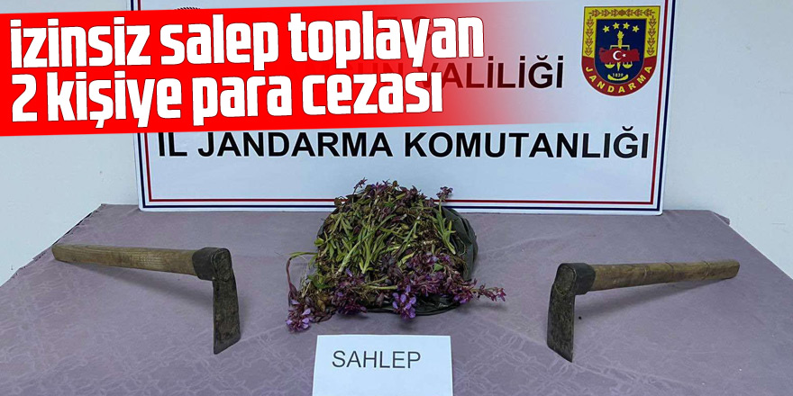 izinsiz salep toplayan 2 kişiye para cezası