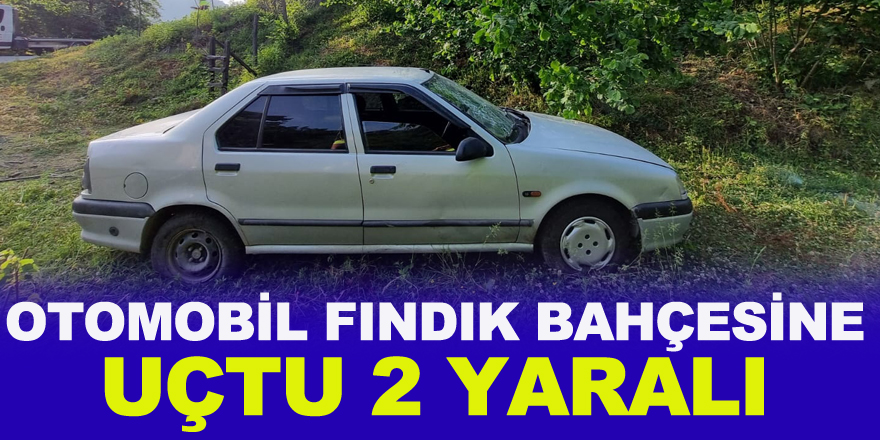 Otomobil fındık bahçesine uçtu: 2 yaralı