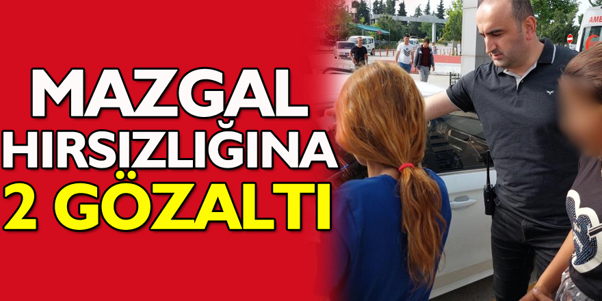 Samsun`da mazgal hırsızlığına 2 gözaltı