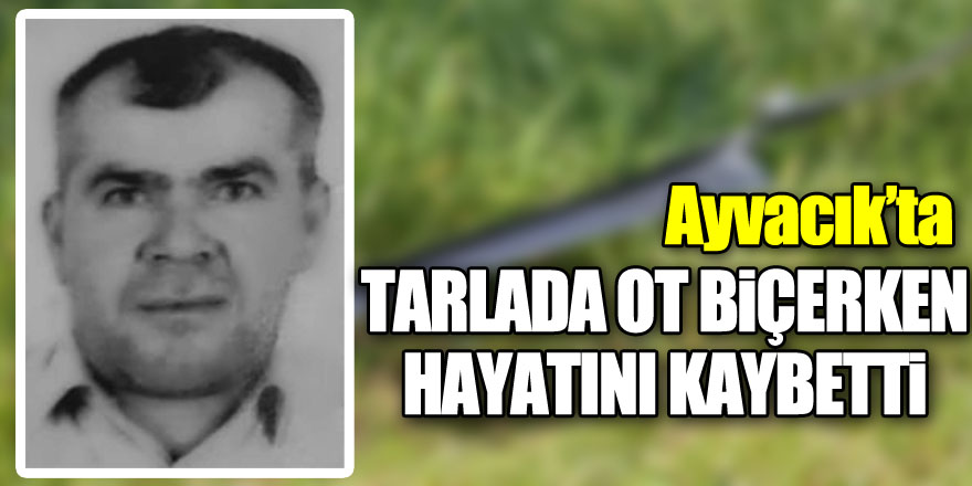 Tarlada ot biçerken hayatını kaybetti