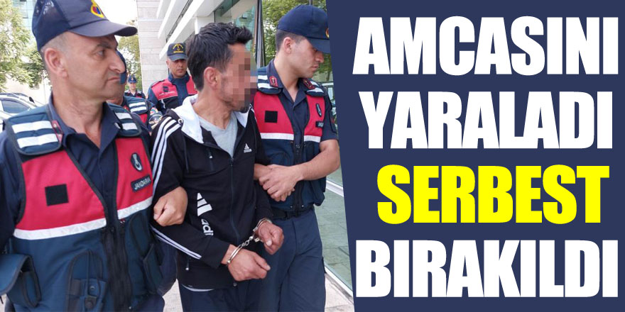 Amcasını tüfekle yaralayan serbest bırakıldı