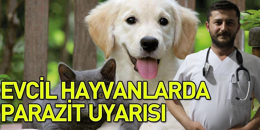 EVCİL HAYVANLARDA PARAZİT UYARISI