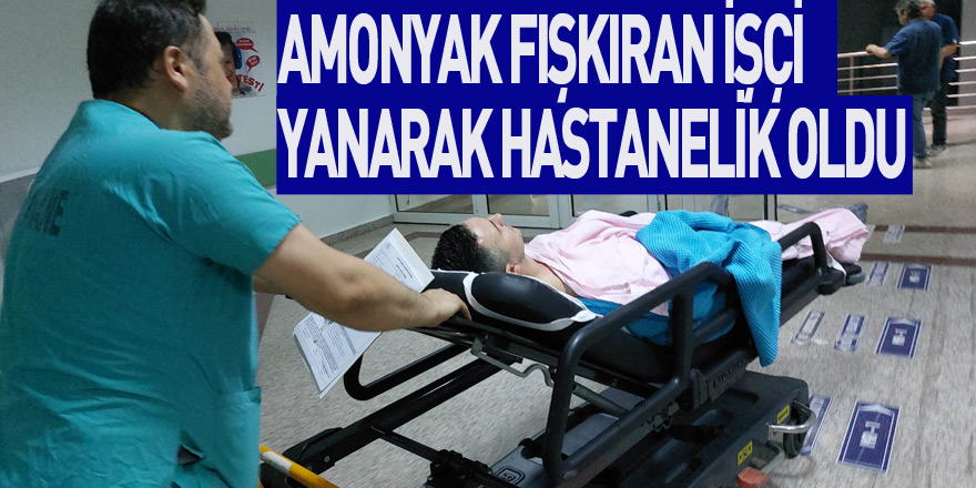 Gübre fabrikasında üzerine amonyak fışkıran işçi yanarak hastanelik oldu