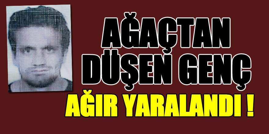 Ağaçtan düşen genç ağır yaralandı