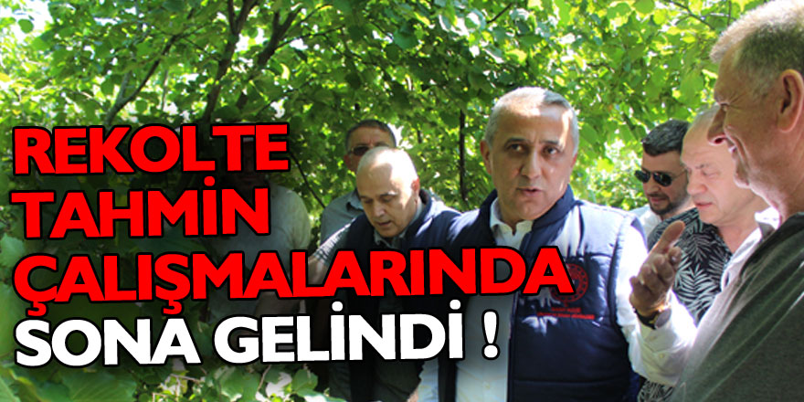 REKOLTE TAHMİN ÇALIŞMALARINDA SONA GELİNDİ