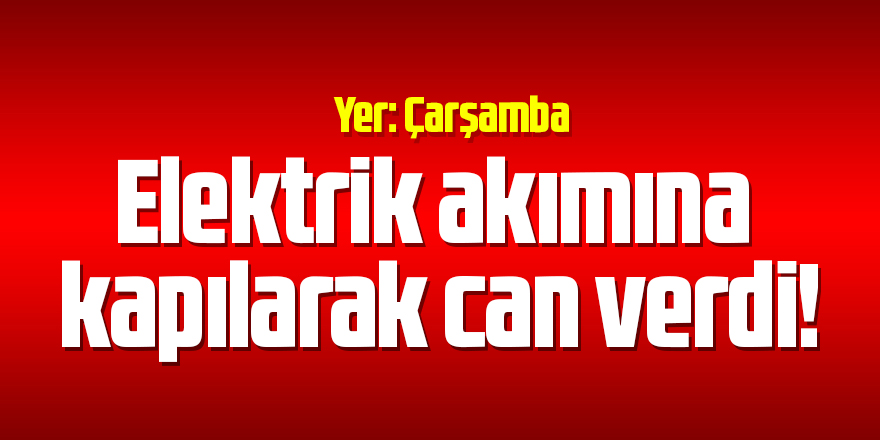 Elektrik akımına kapılarak can verdi!