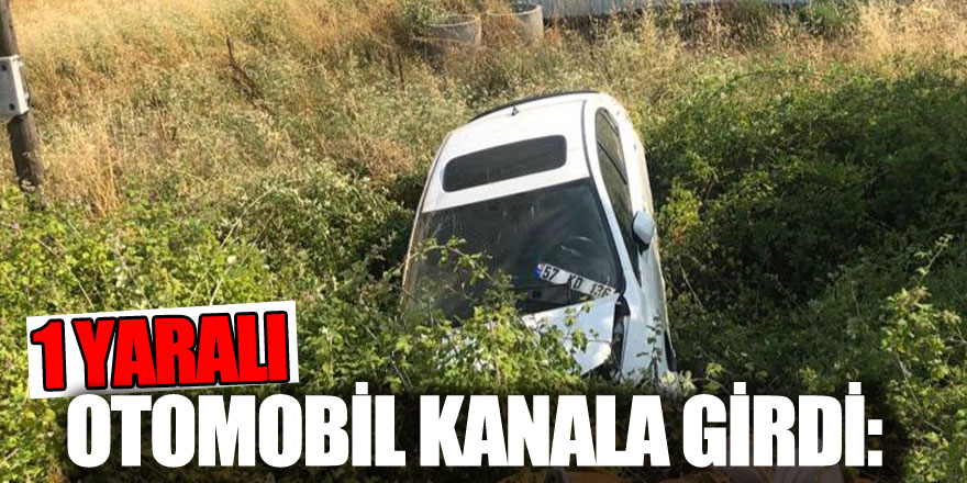 Otomobil kanala girdi: 1 yaralı