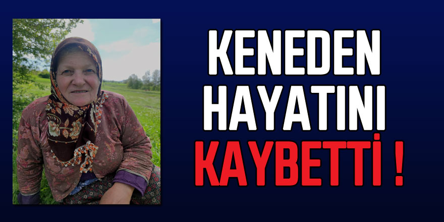 Samsun'da 8 çocuk annesi kadın, keneden hayatını kaybetti