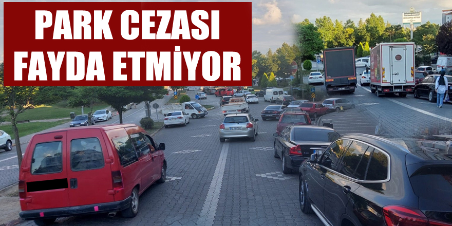 DUYARSIZ SÜRÜCÜLERE, PARK CEZASI FAYDA ETMİYOR