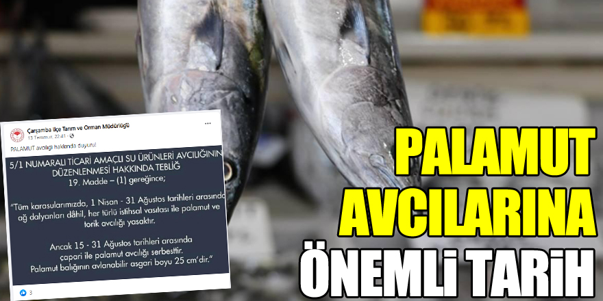 PALAMUT AVCILARINA ÖNMELİ TARİH