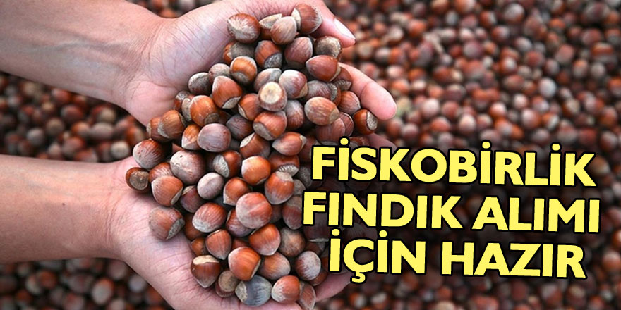 FİSKOBİRLİK, fındık alımı için hazır