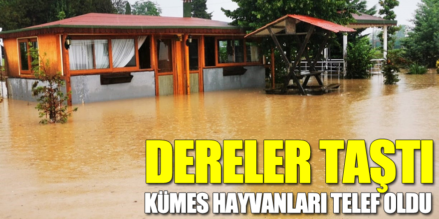 Dereler taştı, kümes hayvanları telef oldu