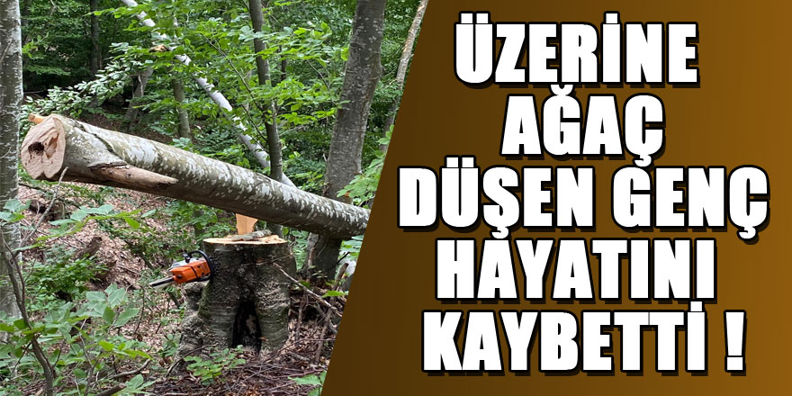 Ormanda üzerine kesilen ağaç düşen genç hayatını kaybetti