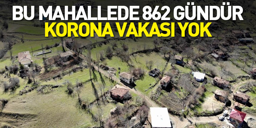 Bu mahallede 862 gündür korona vakası yok