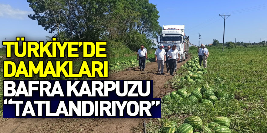 Türkiye’de damakları Bafra karpuzu tatlandırıyor