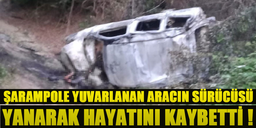 Şarampole yuvarlanan aracın sürücüsü yanarak hayatını kaybetti