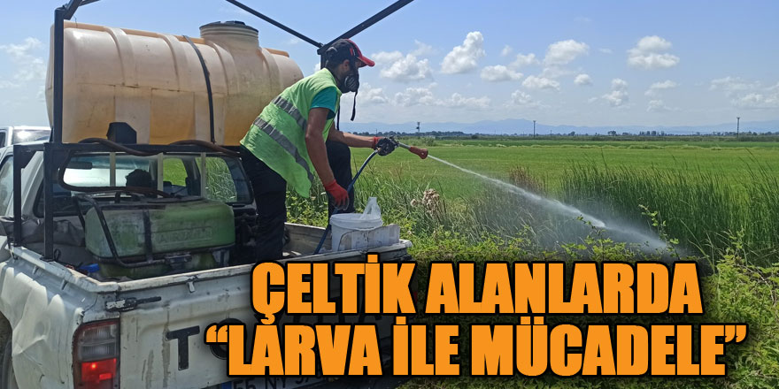 Çeltik alanlarında larva ile mücadele