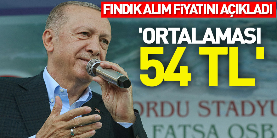 Cumhurbaşkanı Erdoğan fındık alım fiyatını açıkladı: 'Ortalaması 54 TL'
