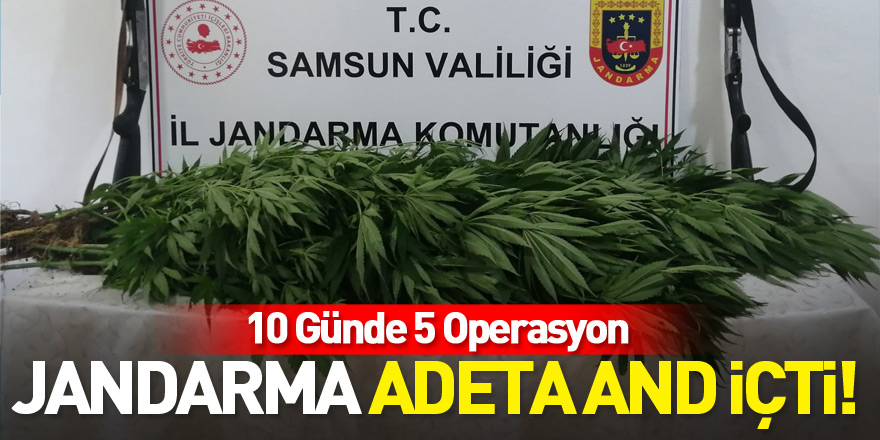 Jandarma Adeta And İçti! 10 Günde 5 Operasyon